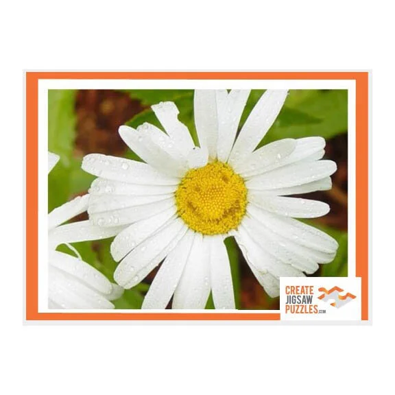 Happy Daisy Puzzle — wrightpix photo gifts